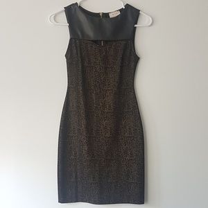 Gold & Black Bodycon Dress